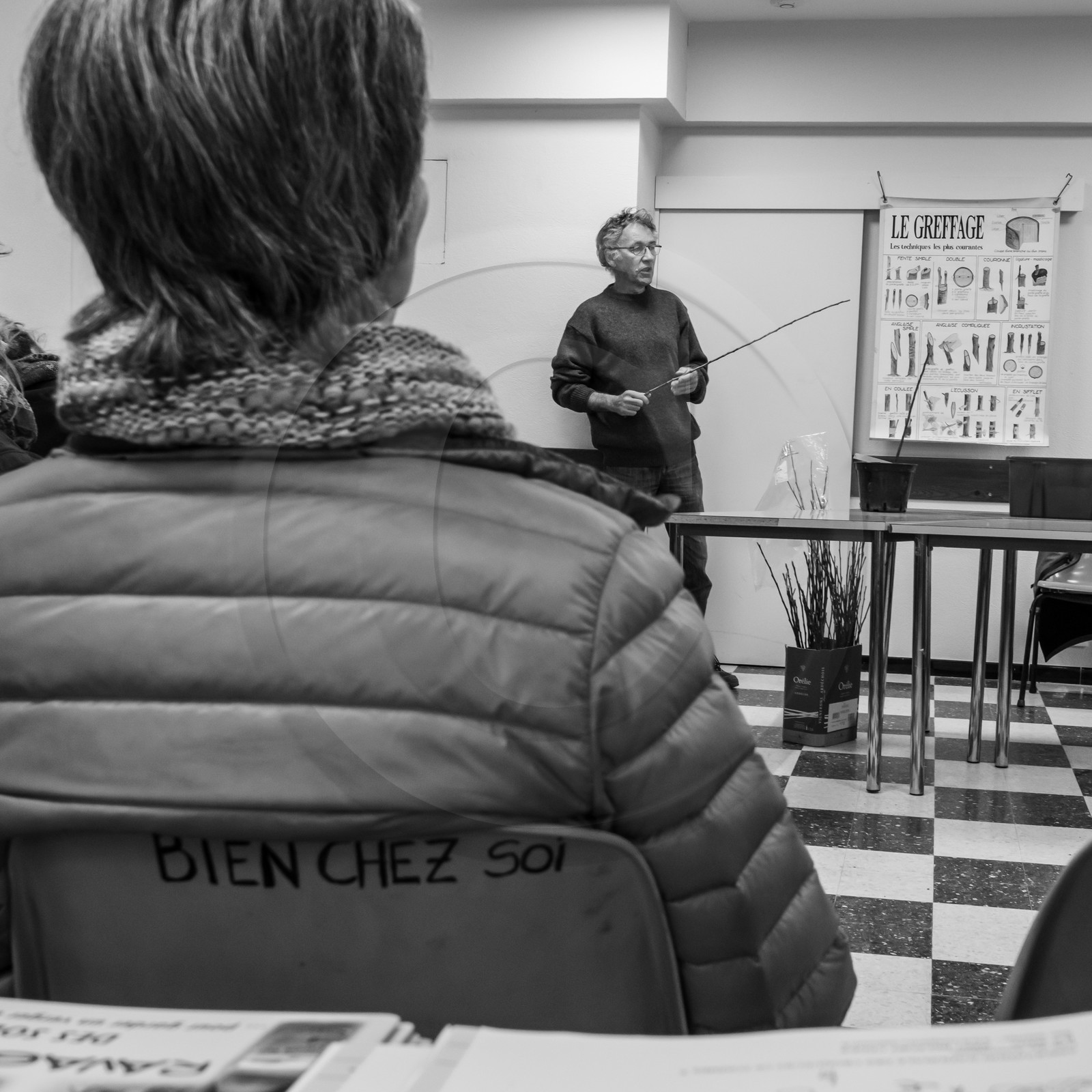 03 avril 2019 : Initiation à la greffe d'arbres fruitiers