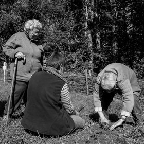 20 septembre 2017 - Jardinage