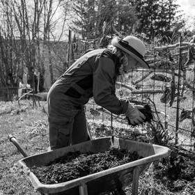 14 avril 2021 : collages, taille, jardinage