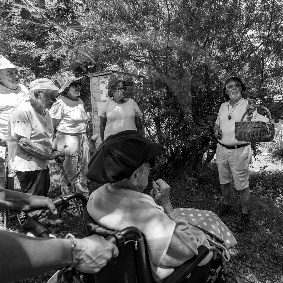 29 juin 2022 : Découverte des plantes sauvages