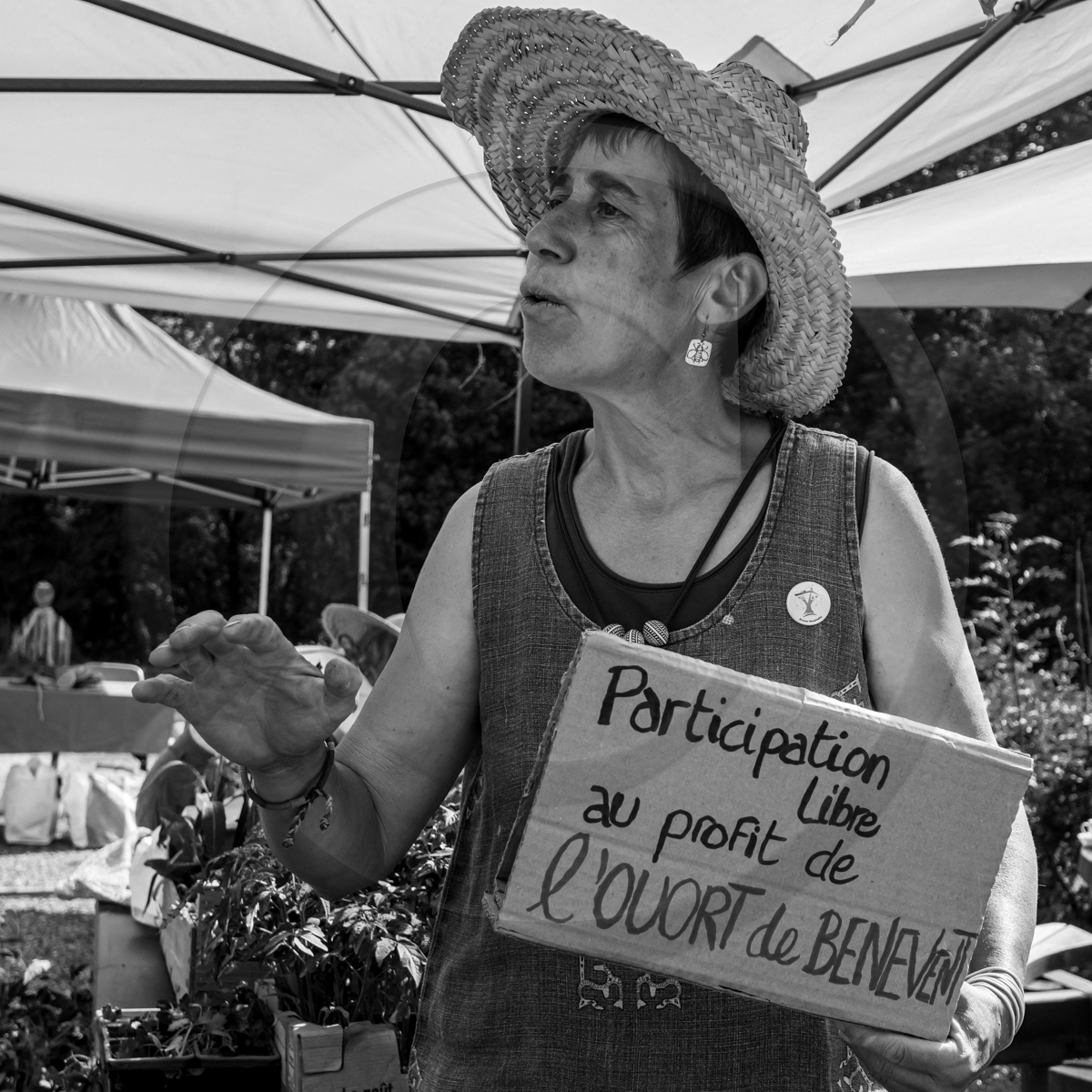 22 mai 2022 : Vide-Jardin