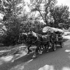 25 septembre 2019 : Promenade en calèche