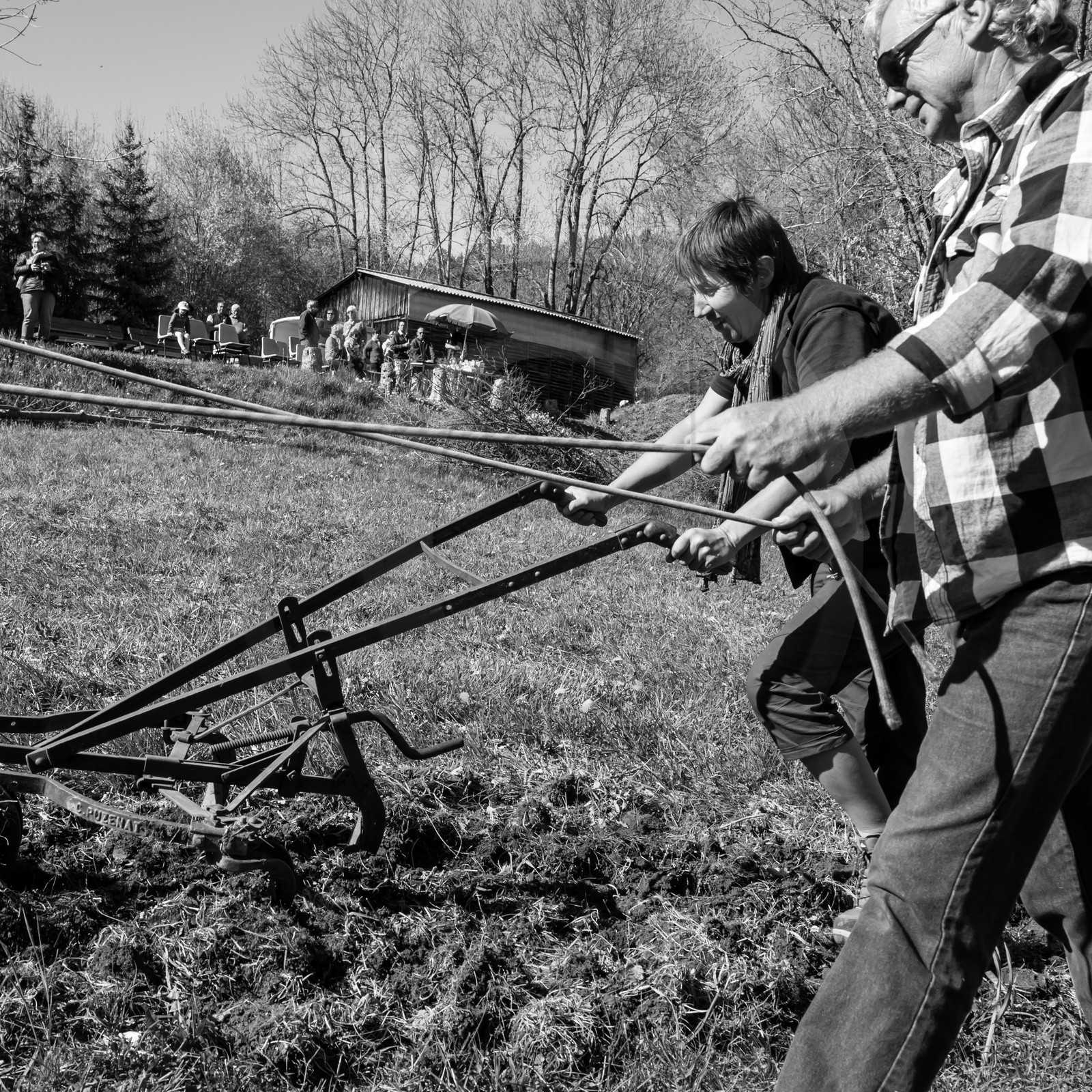 Labour avec un cheval - 17 04 17