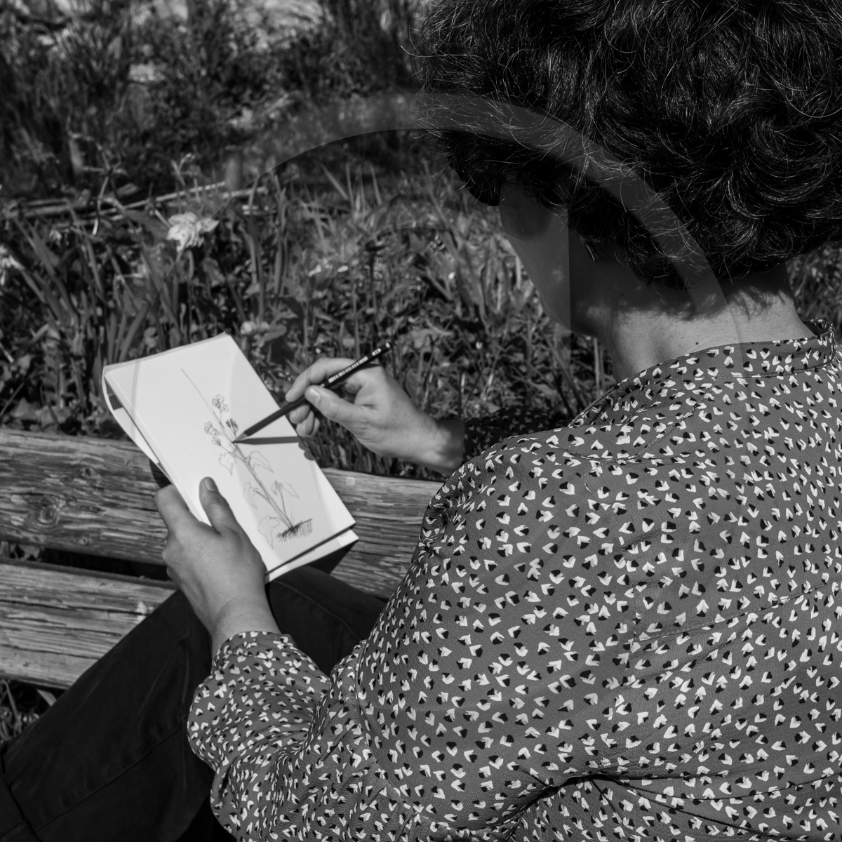 29 avril 2022 : journée des aidants et des aidés