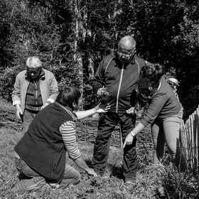 20 septembre 2017 - Jardinage