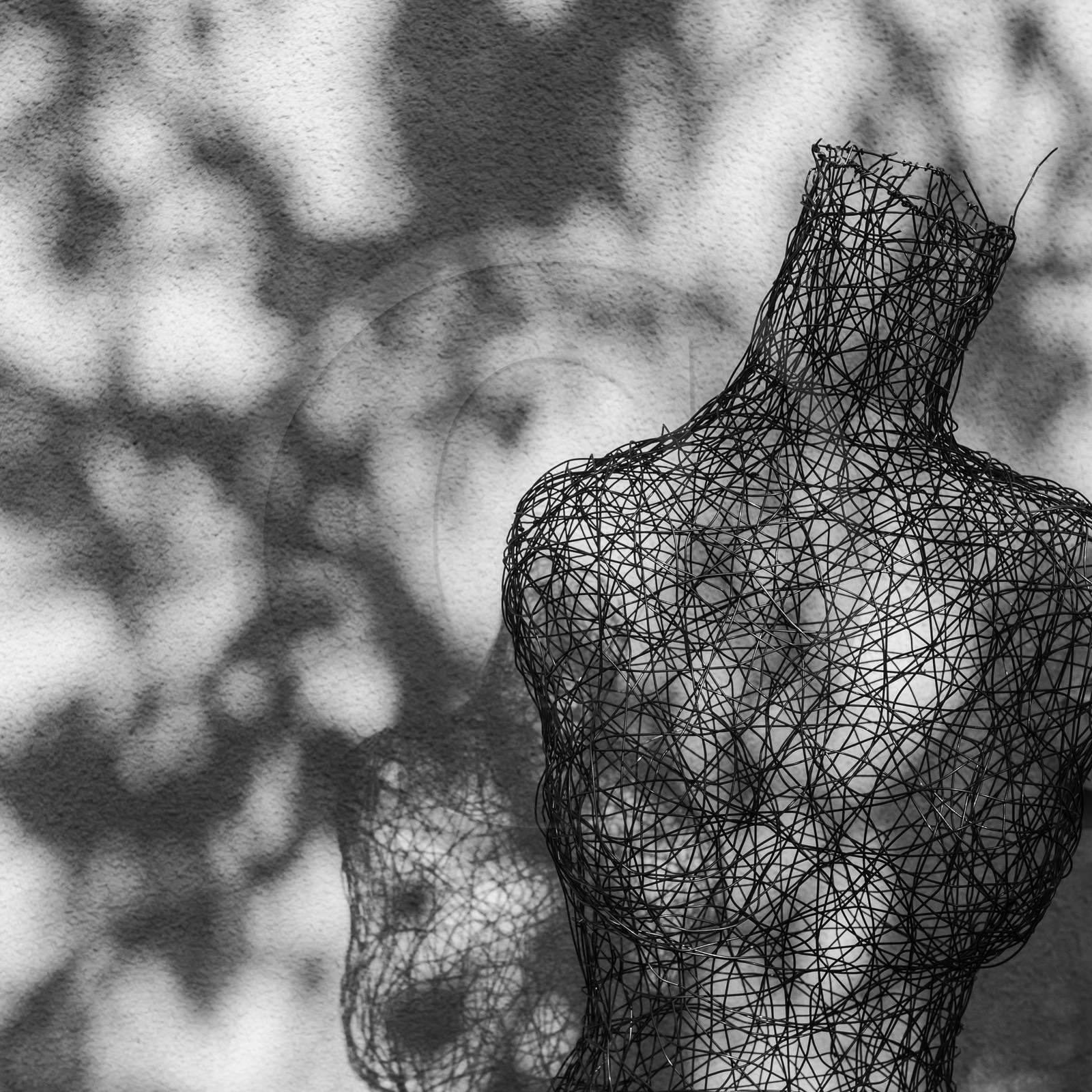 27 octobre 2019 : pommes, soupes et gâteaux