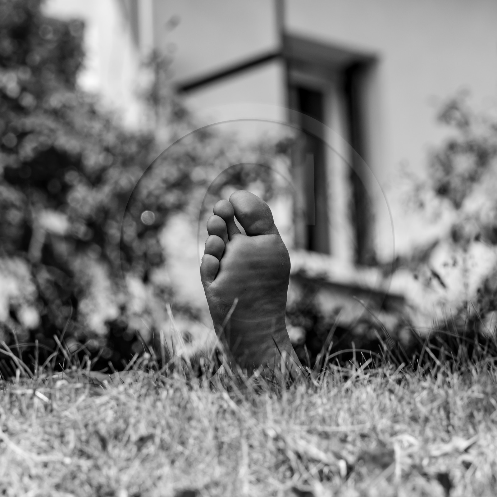 21 juillet 2021 : Sieste musicale avec Matthieu Duval