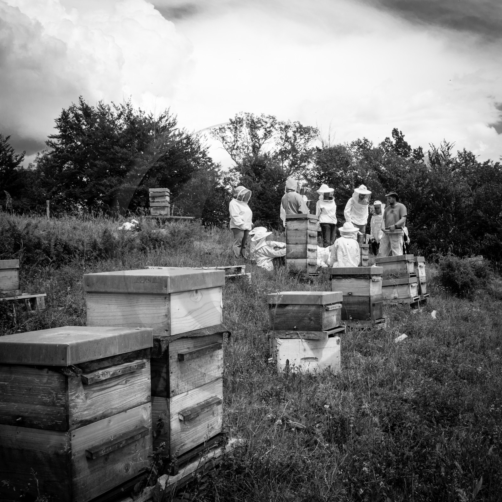 Visite au Rucher des Noisetiers