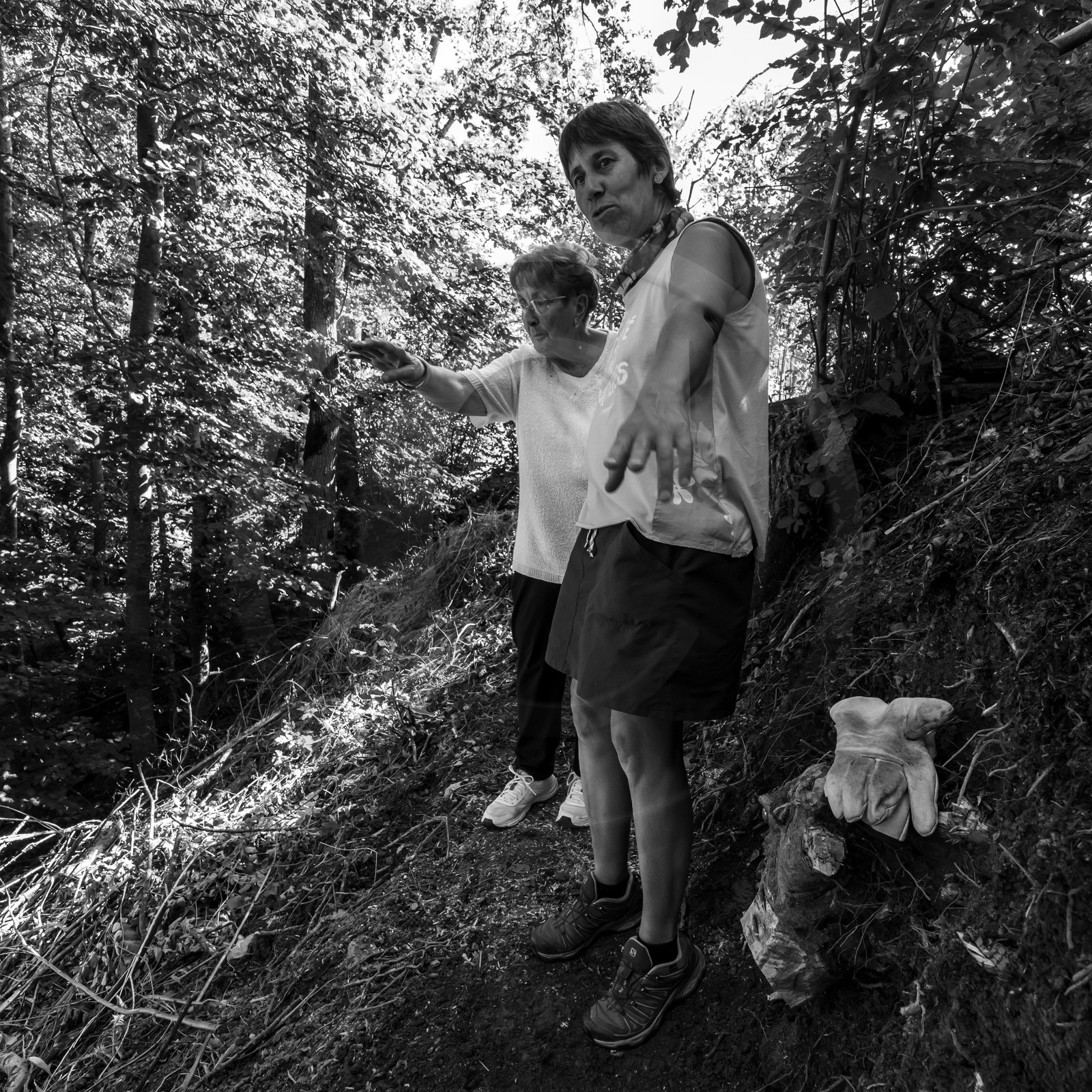 Activités au jardin