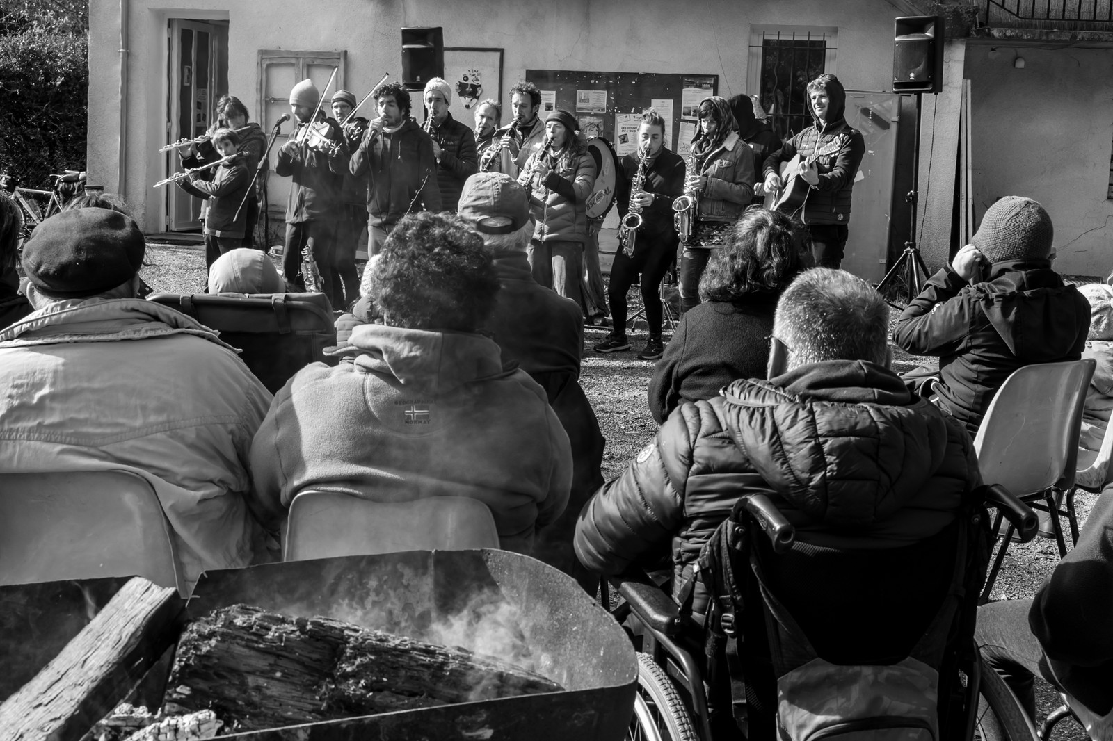 26 octobre 2025 : Les oiseaux de trottoir