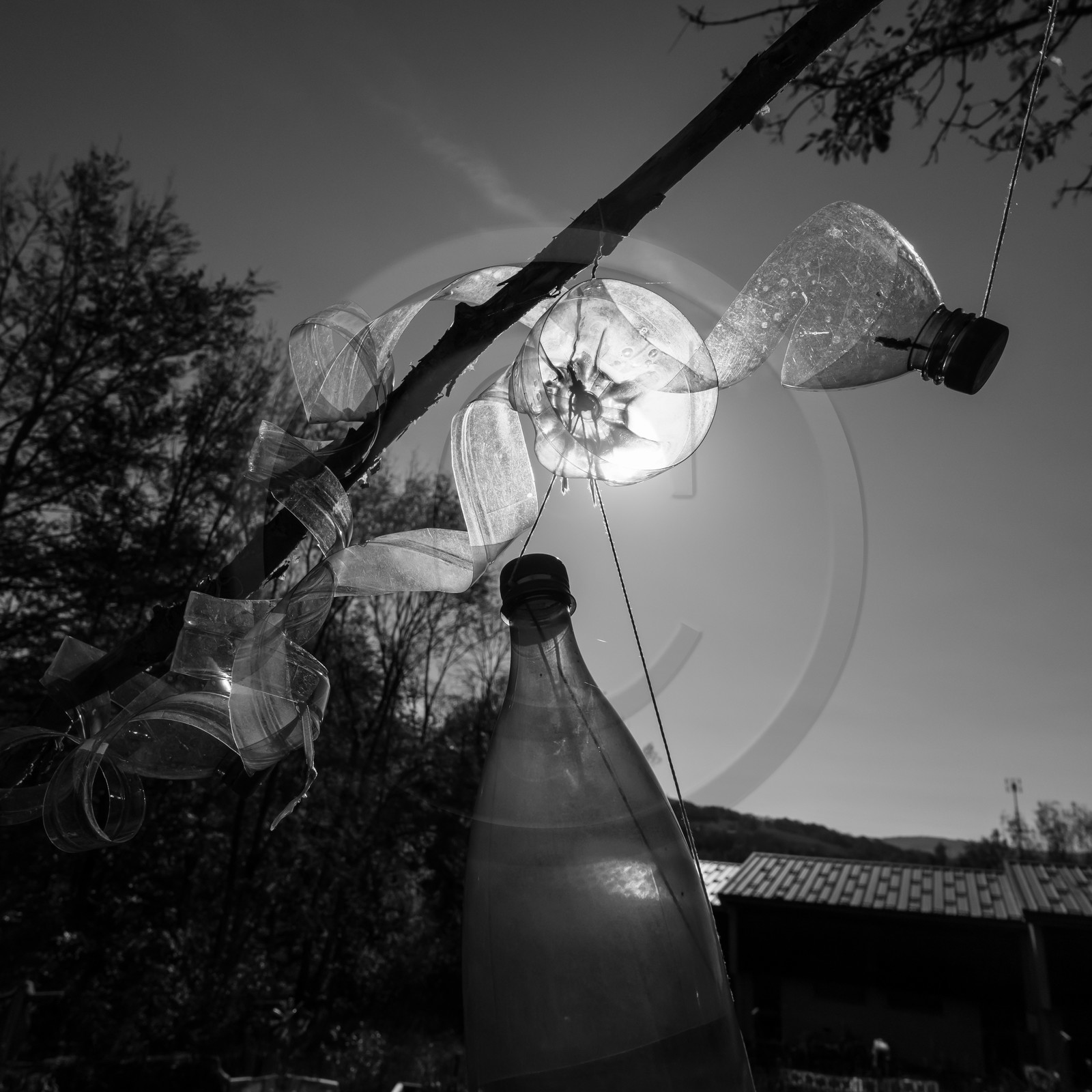 27 octobre 2019 : pommes, soupes et gâteaux