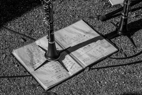 26 octobre 2025 : Les oiseaux de trottoir