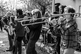 26 octobre 2025 : Les oiseaux de trottoir