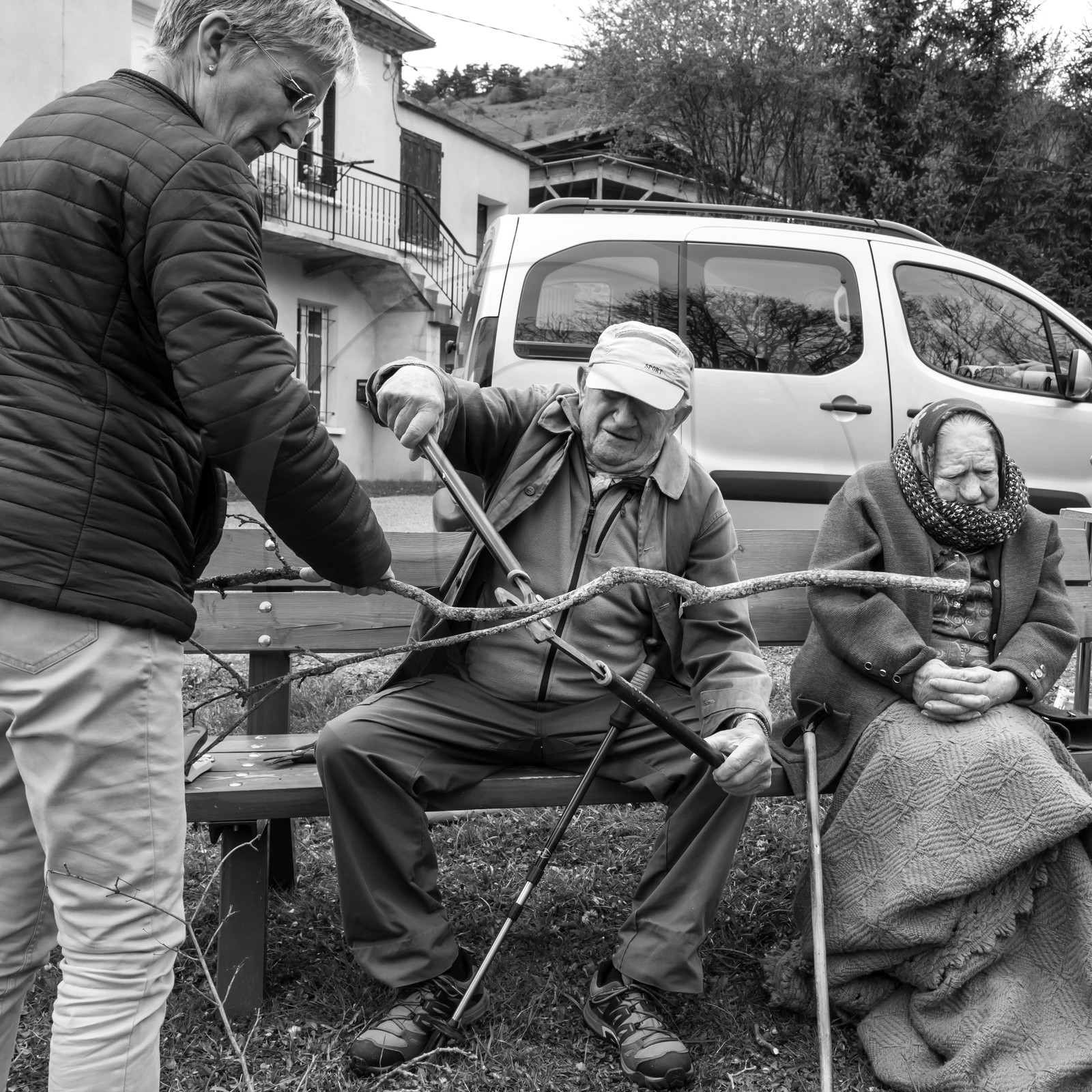 03 mai 2017 - Bac, semis et plantations