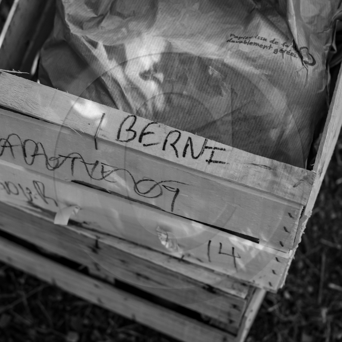 La cantine de Bernie