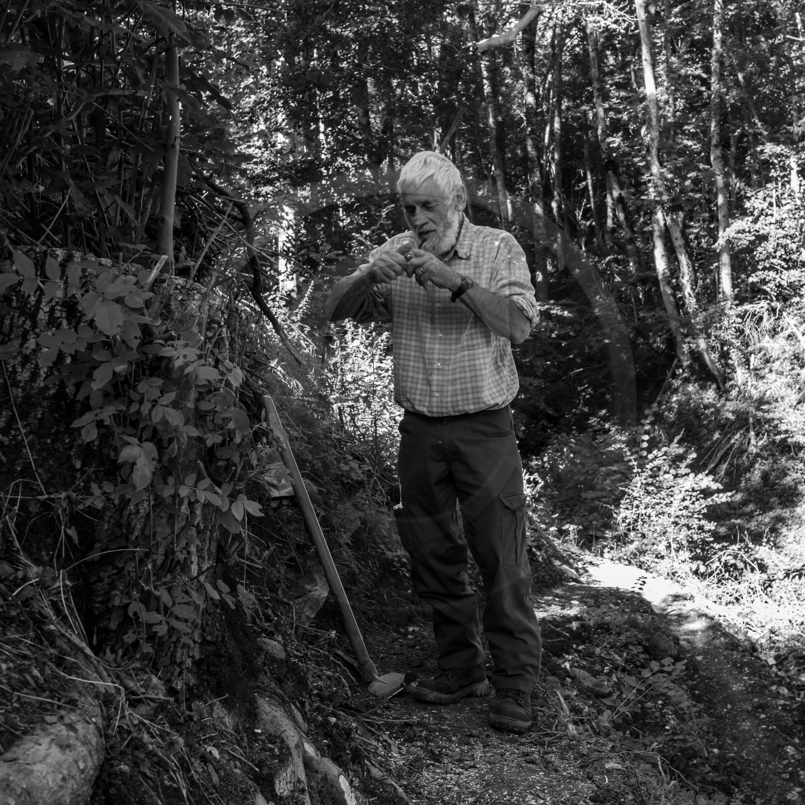 Activités au jardin