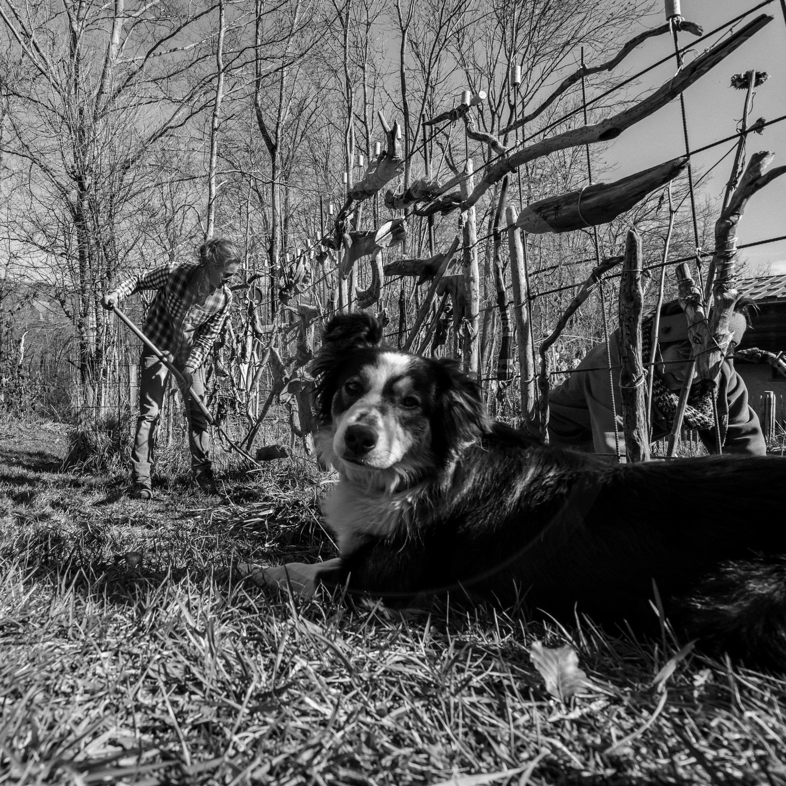 10 mars 2021 : on jardine, on fabrique des jeux