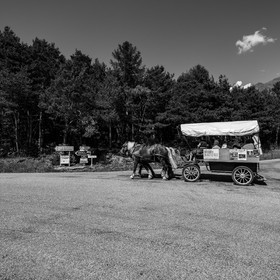 01 septembre 2021 : Promenade en cariole et contes