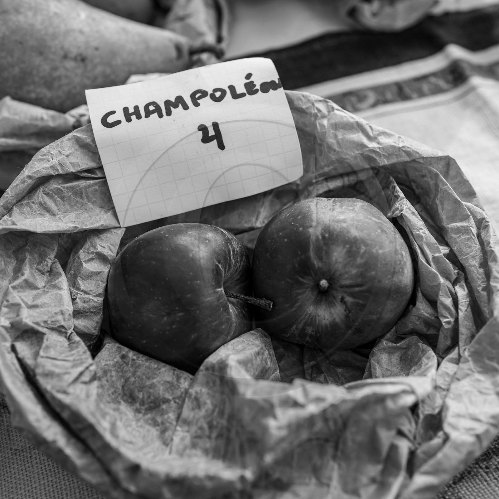 01 novembre 2023 : Des pommes et des soupes