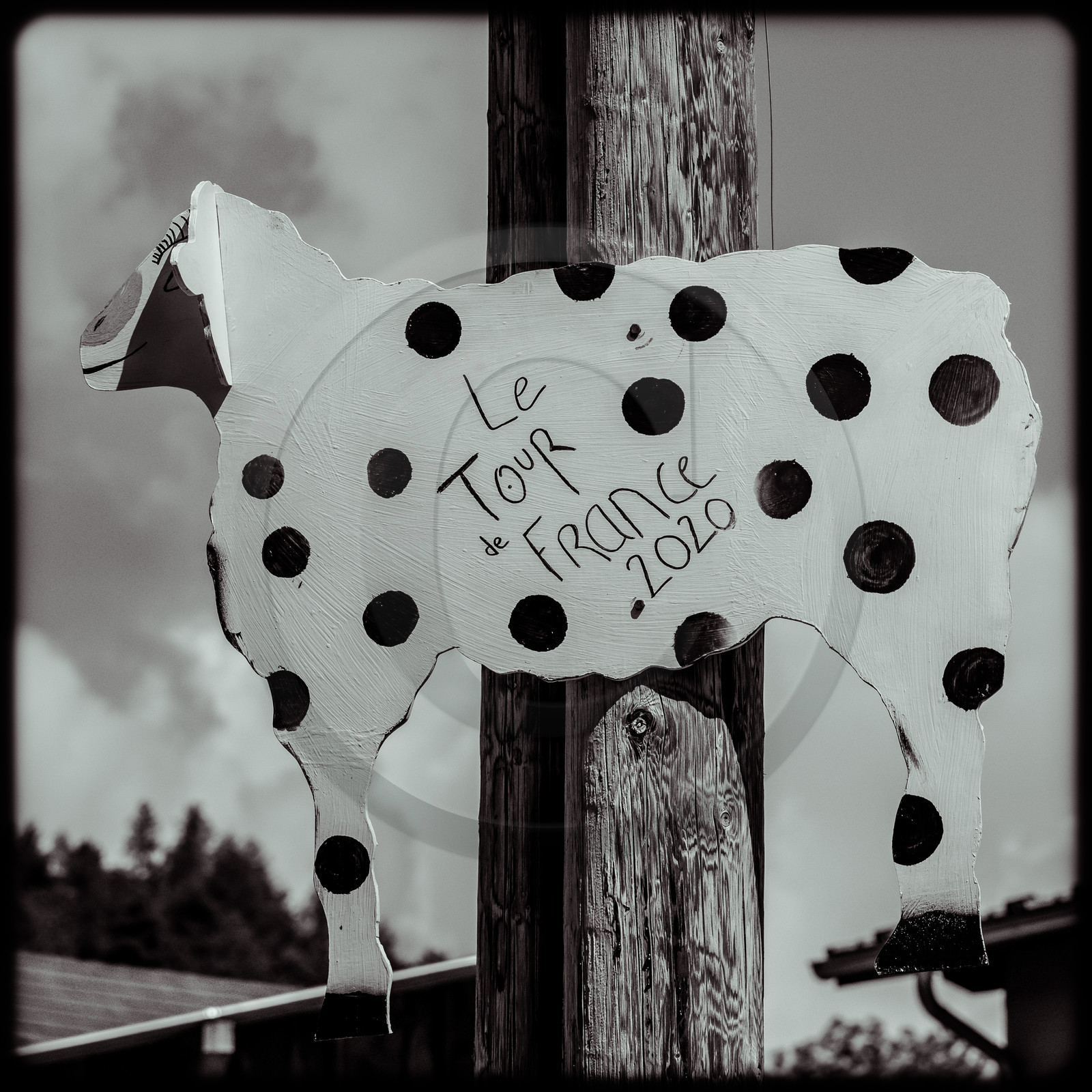 Tour de France cycliste 2020