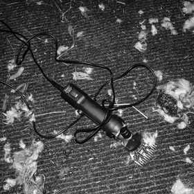 La tonte des moutons