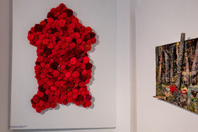 Expositions à la maison du Berger - Champoléon