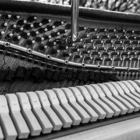 Philippe Séranne - Piano Vélo