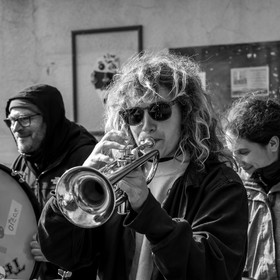 26 octobre 2025 : Les oiseaux de trottoir