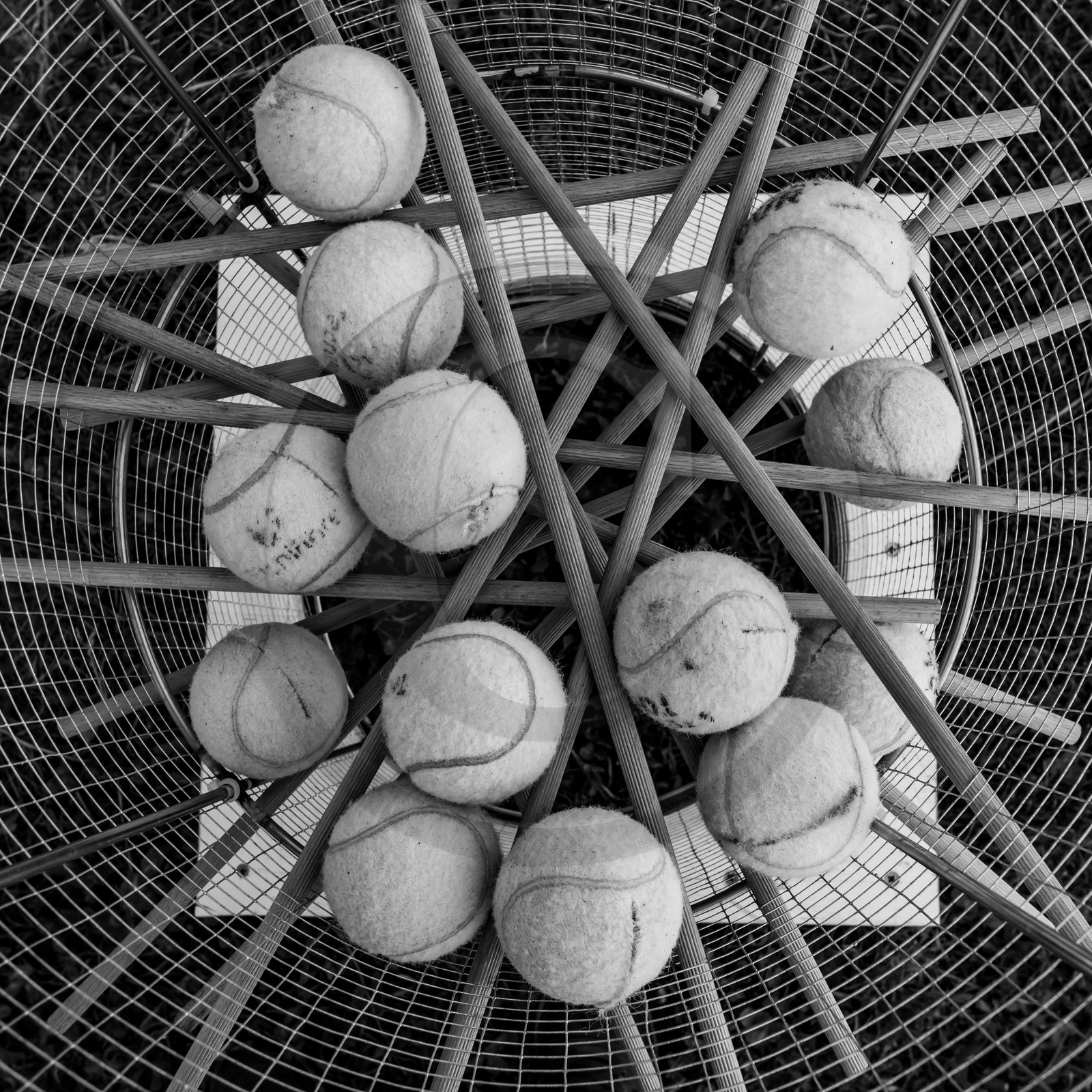 Des jeux avec le Lycée Sévigné