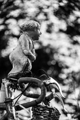 23 aout 2024 : Journée des aidants, aidés et anciens aidants