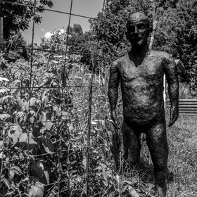 Exposition La forêt d'hommes, une création de Barbara Fougnon, artiste plasticienne