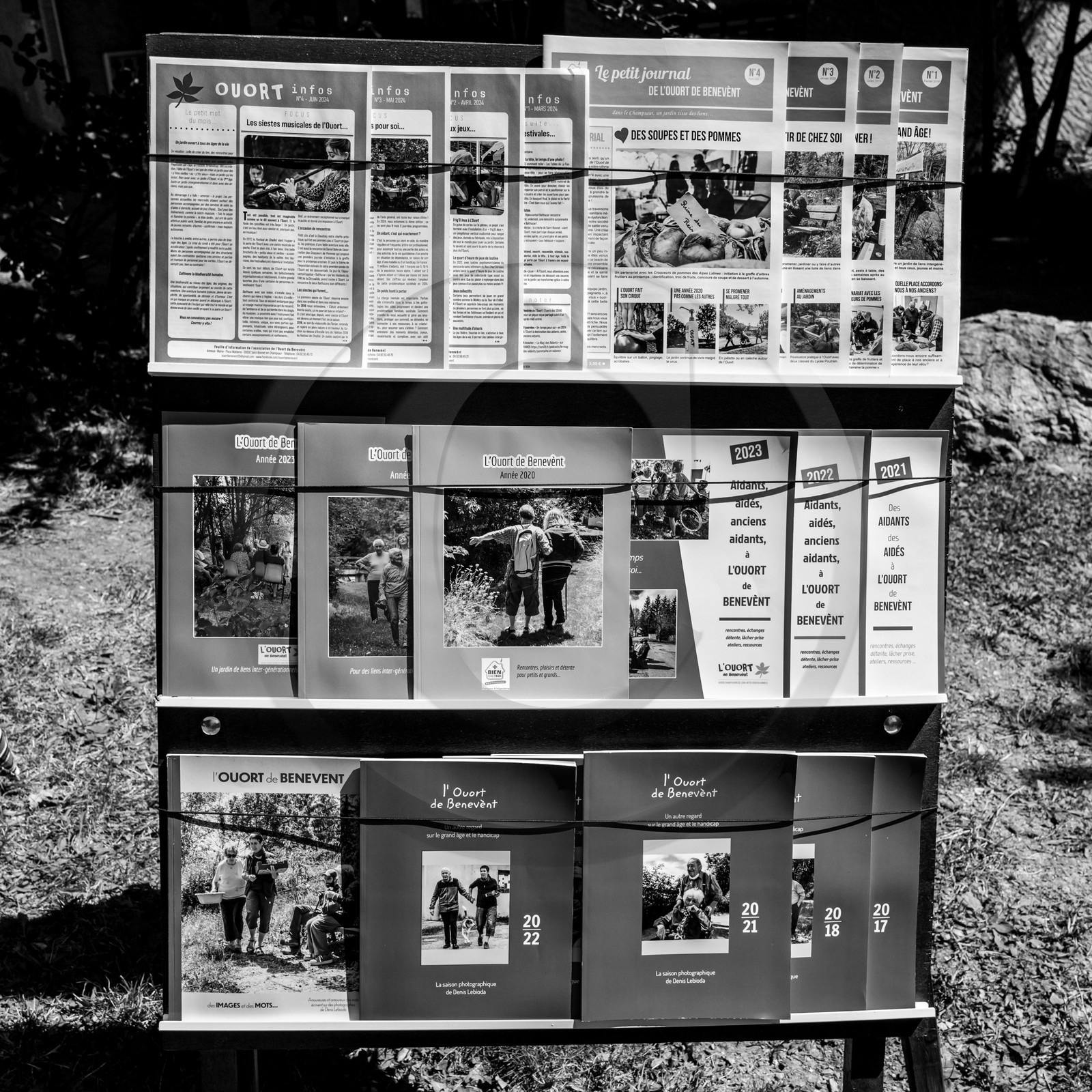 23 aout 2024 : Journée des aidants, aidés et anciens aidants