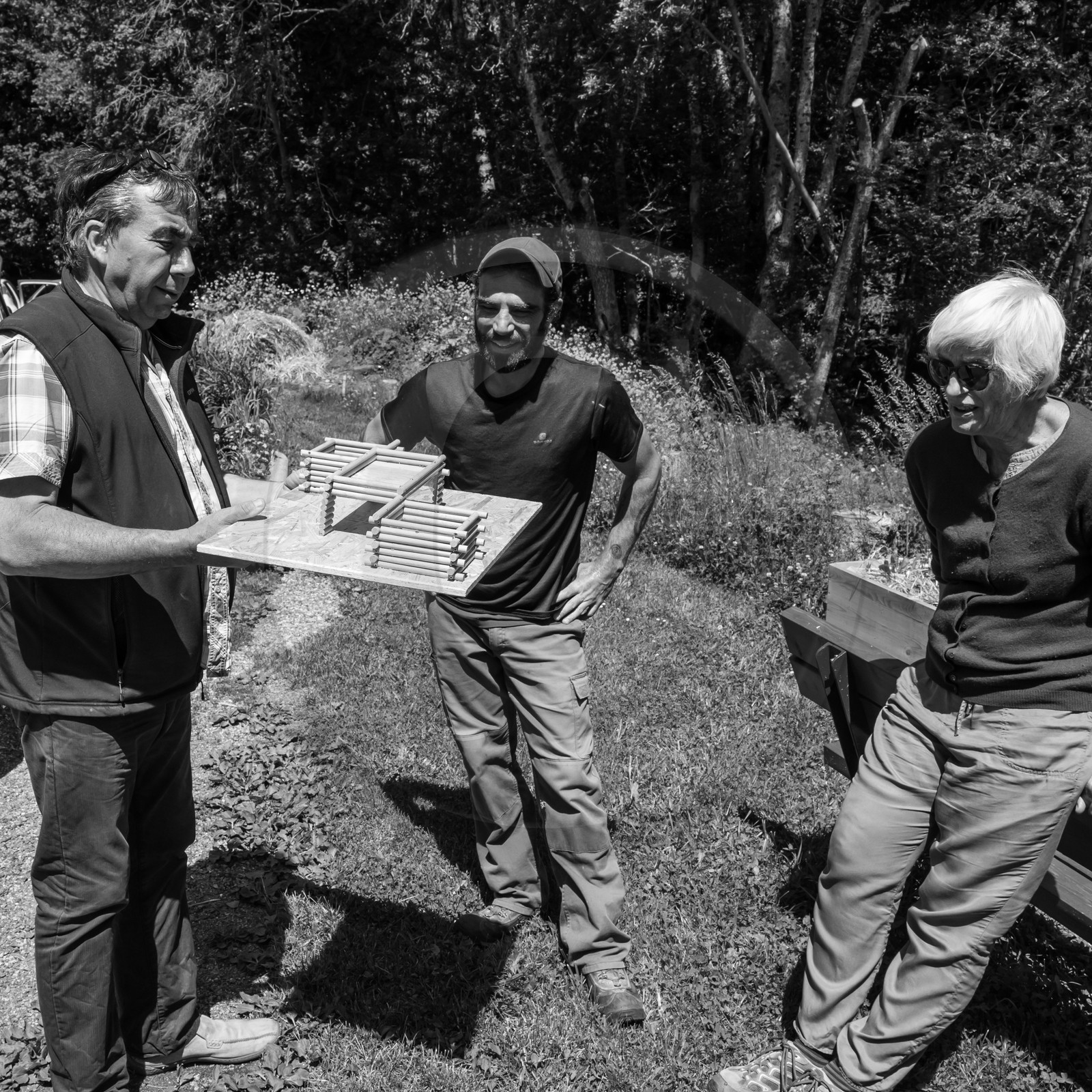 07 juin 2017 - Plantation - Haie - Réunion