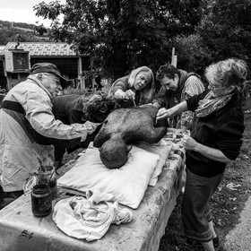 Création de l'homme de l'Ouort Marcel Joli Coeur : pose d'un enduit noir