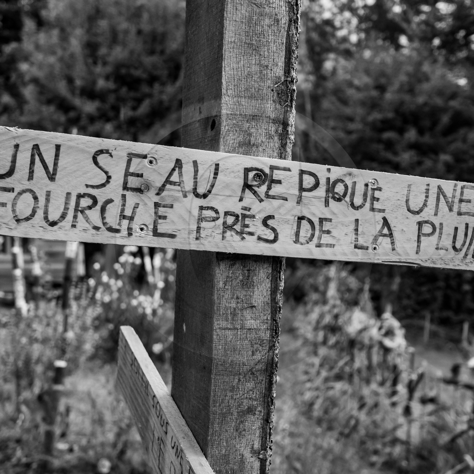 15 septembre 2021 : l'APF à l'Ouort