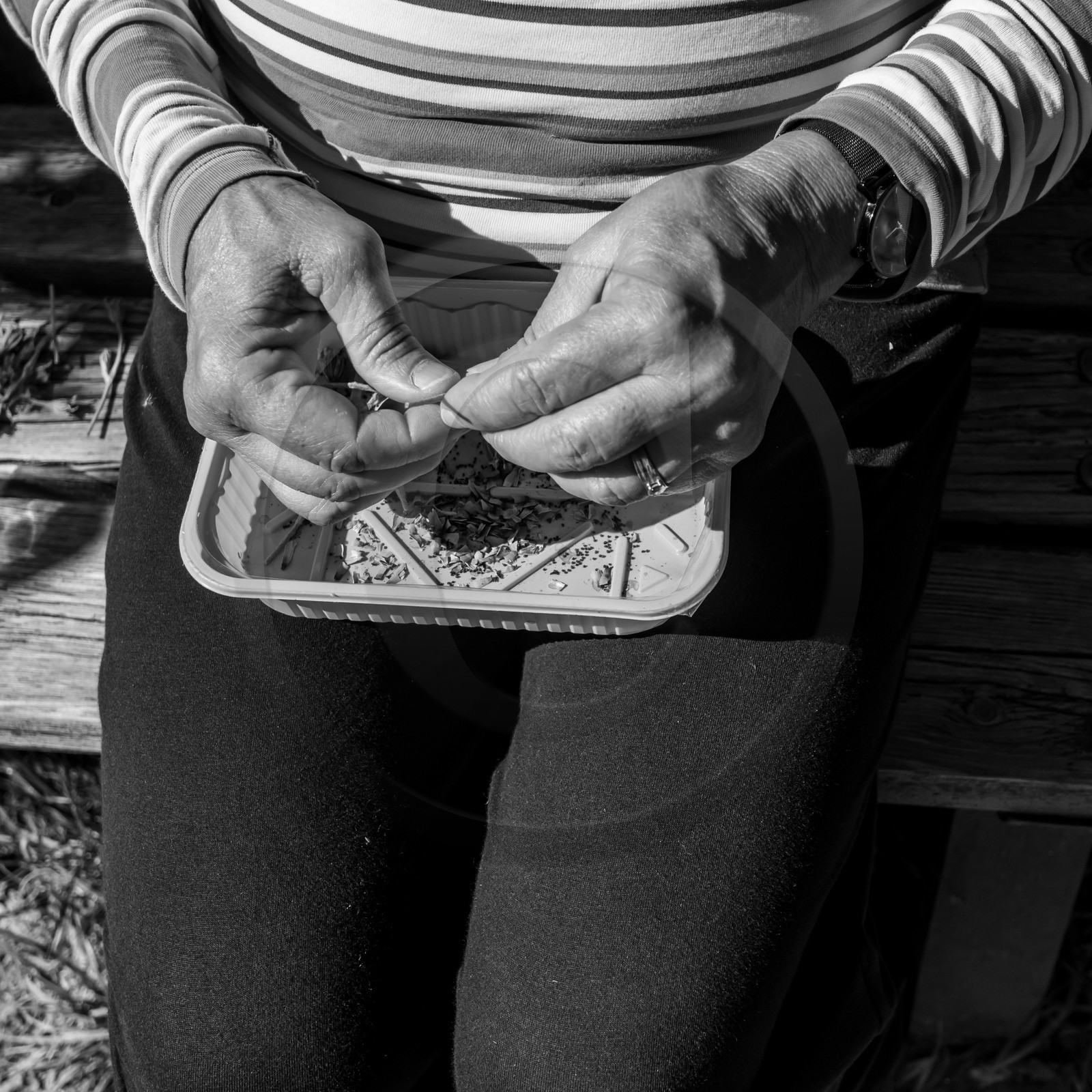 22 septembre 2021 : plein d'activités à l'Ouort