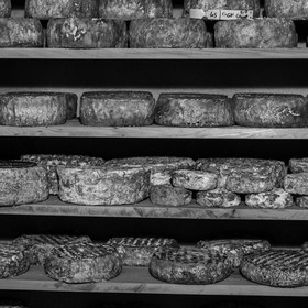 Le GAEC des Counières