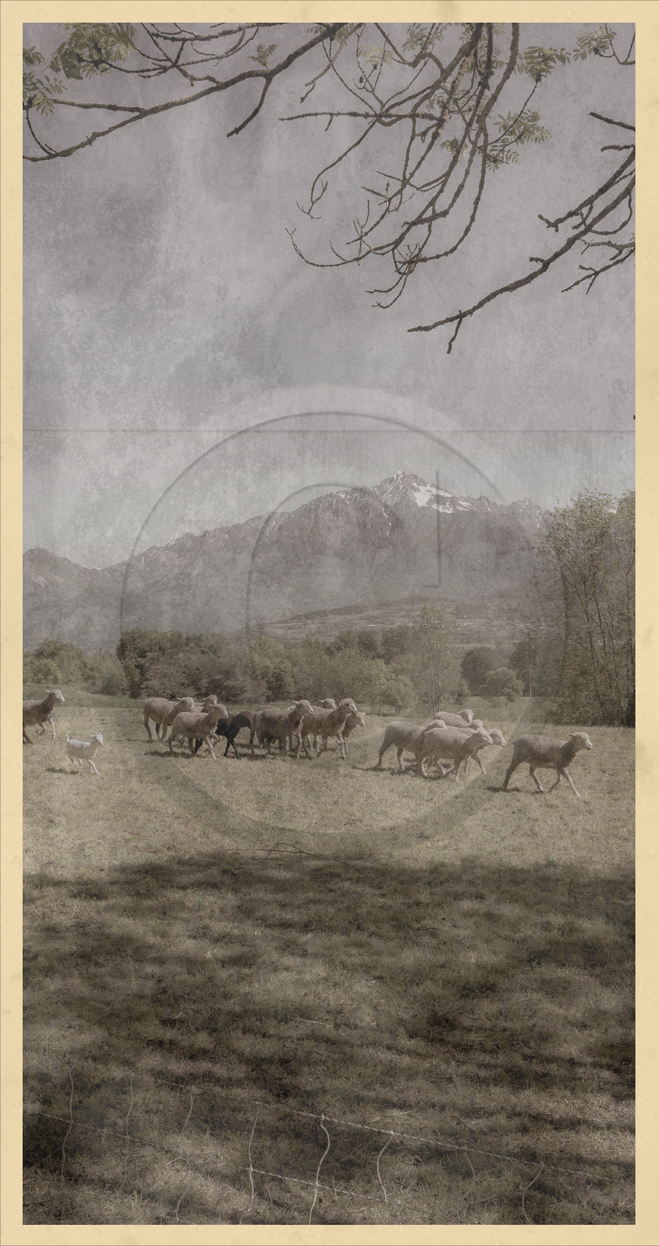 Le kilomètre dérogatoire