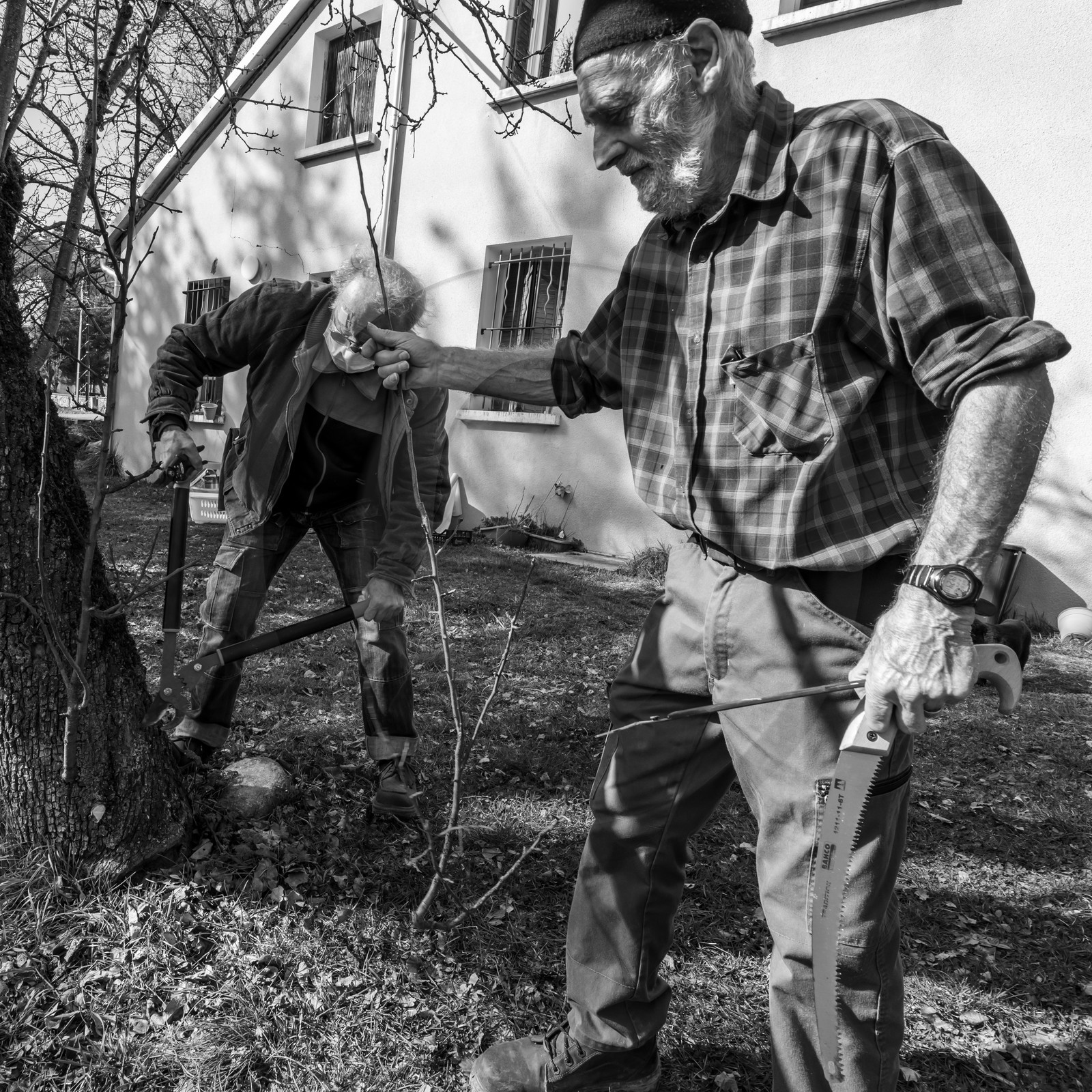 24 février 2021 : on taille, on prépare le jardin...
