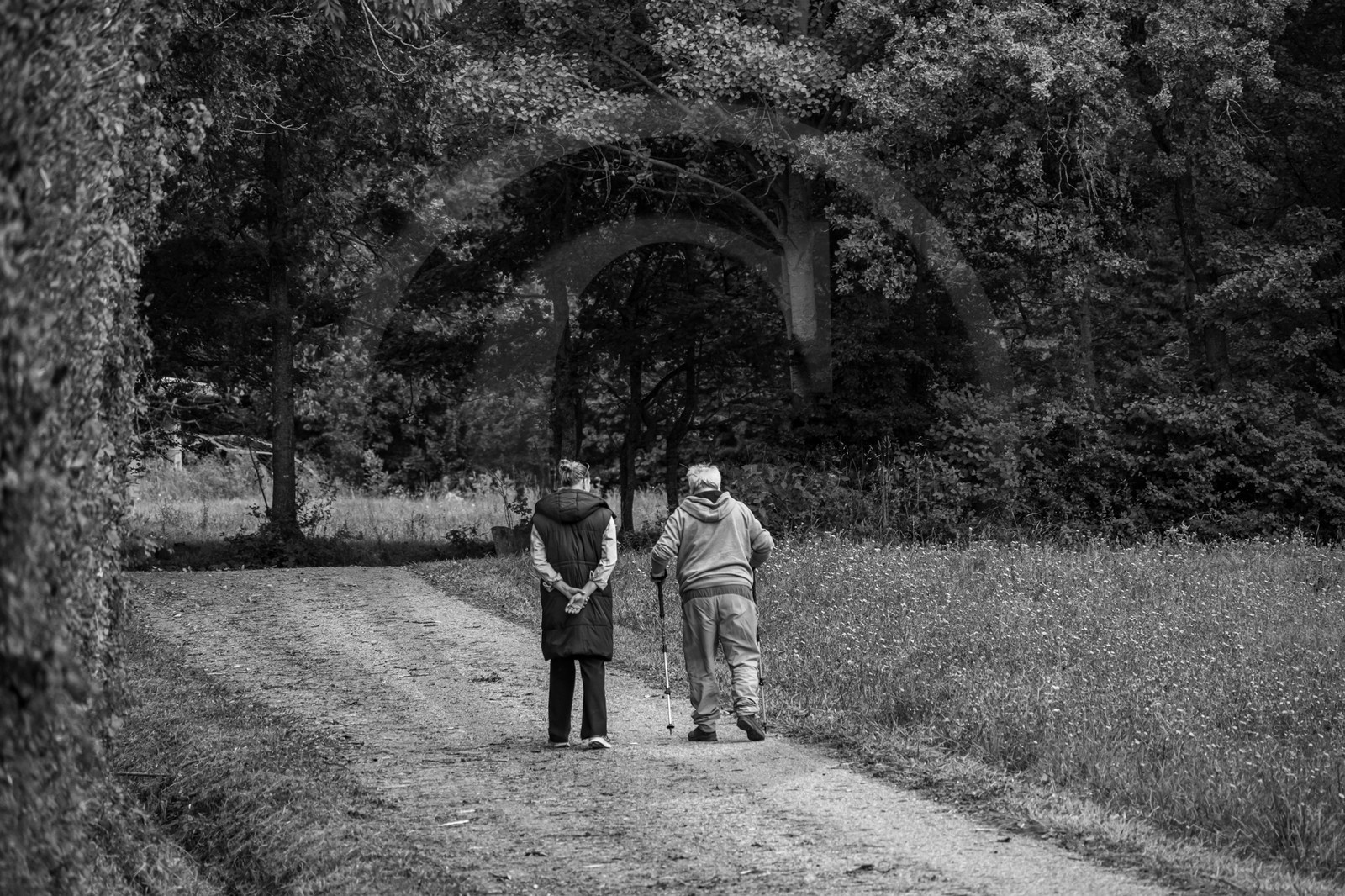 25 septembre 2024 : Promenade en joelette avec Bruno, accompagnateur en montagne et des élèves du lycée Sévigné de Gap