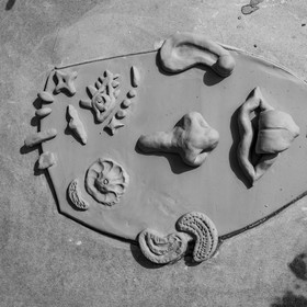 14 juillet 2021 : De la terre et des masques