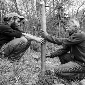 03 mai 2017 - Bac, semis et plantations