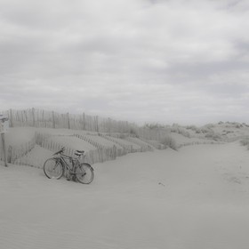 Camargue couleur pastel
