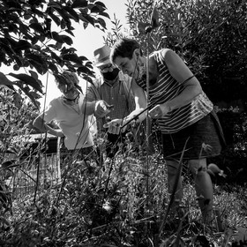 16 août 2021 : Journée des aidants