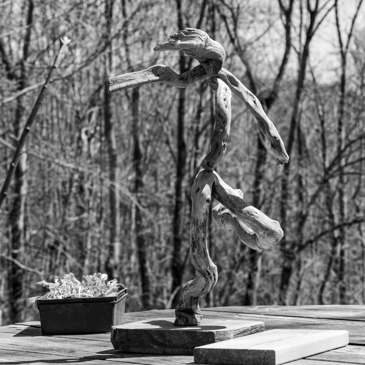 Atelier laine et promenade au jardin