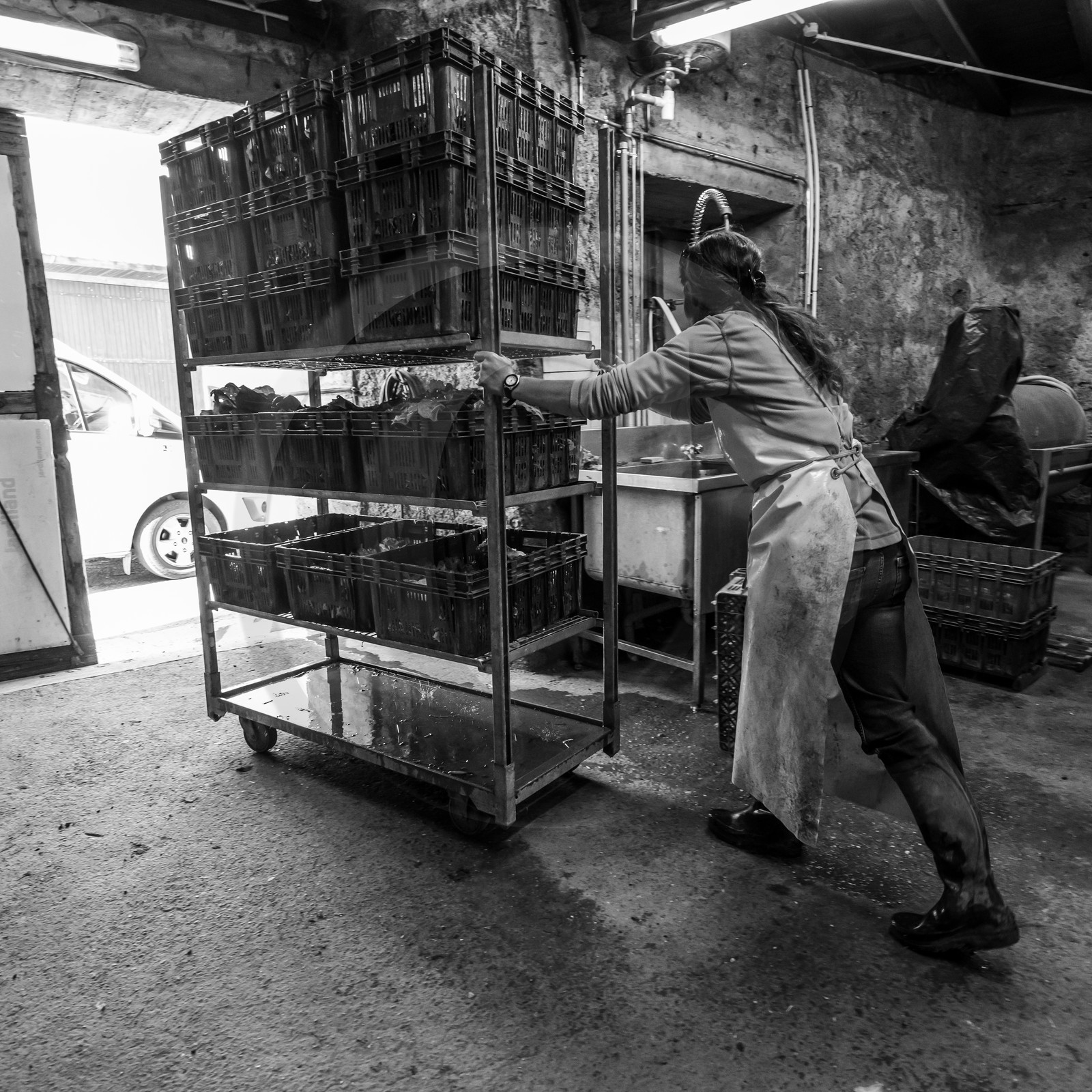 Maraichage biologique dans le Champsaur