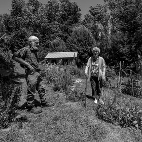 30 juin 2021 : Jardinage, jeux de cartes, masques