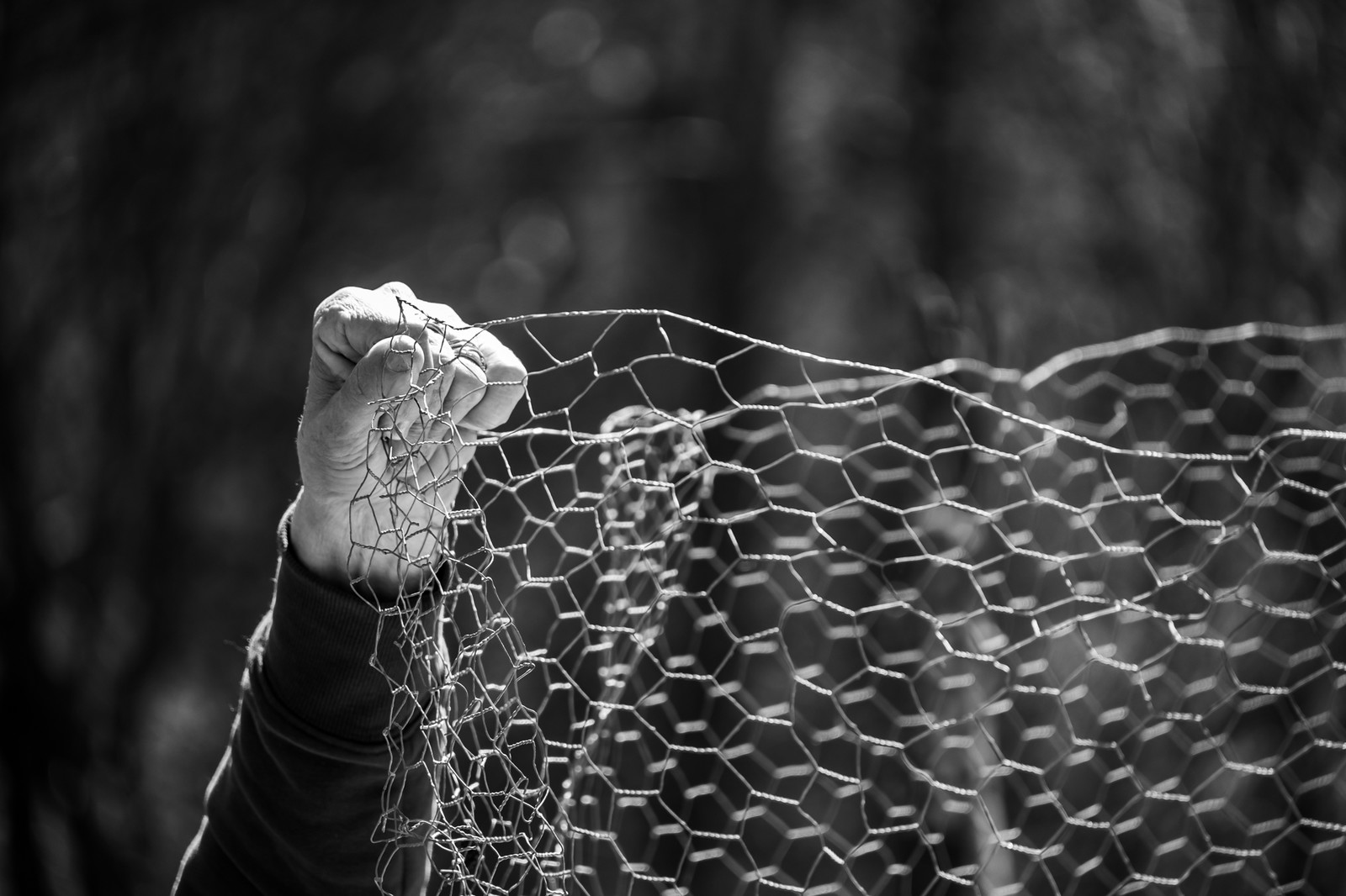 25 avril 2025 : Journée des Aidants