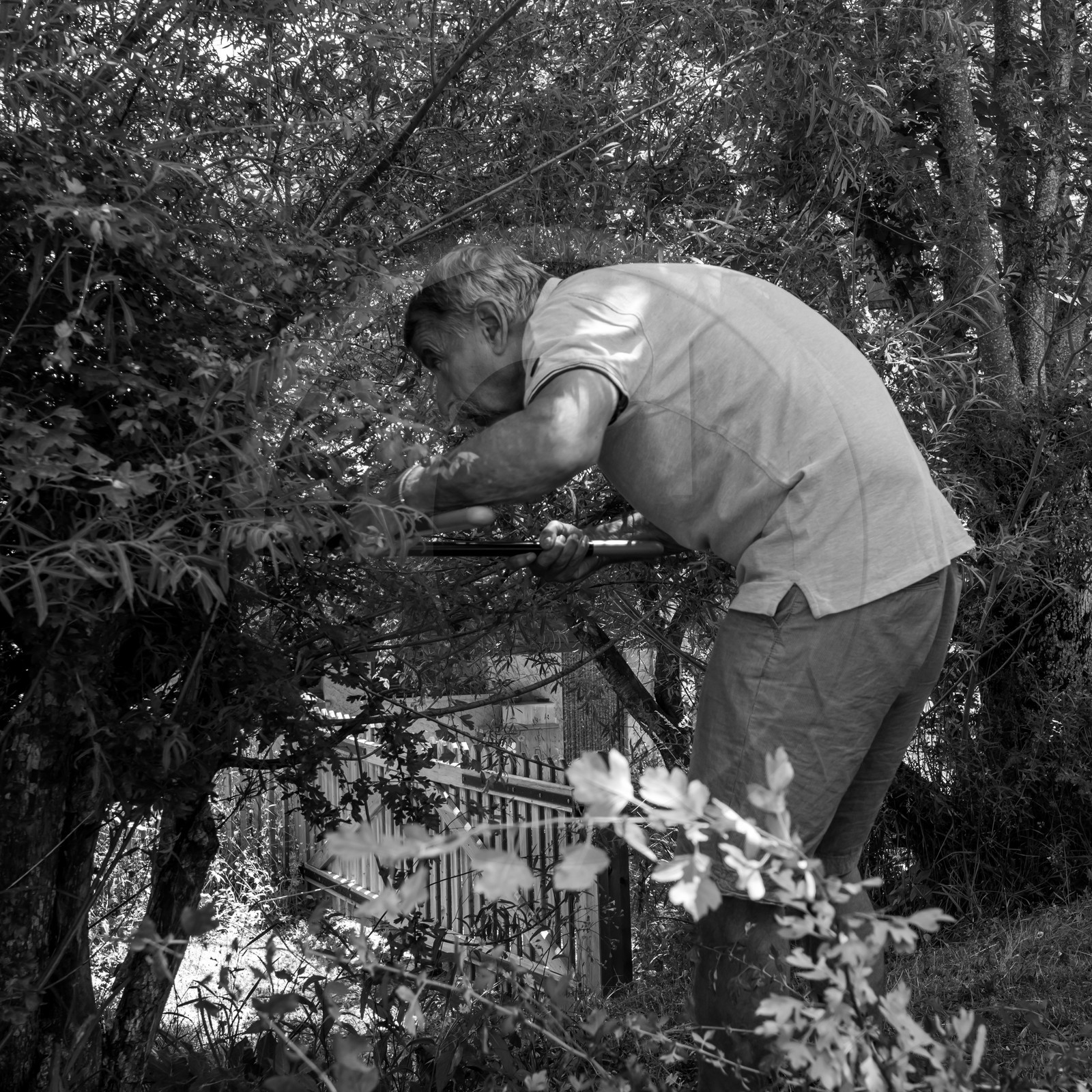 30 juin 2021 : Jardinage, jeux de cartes, masques