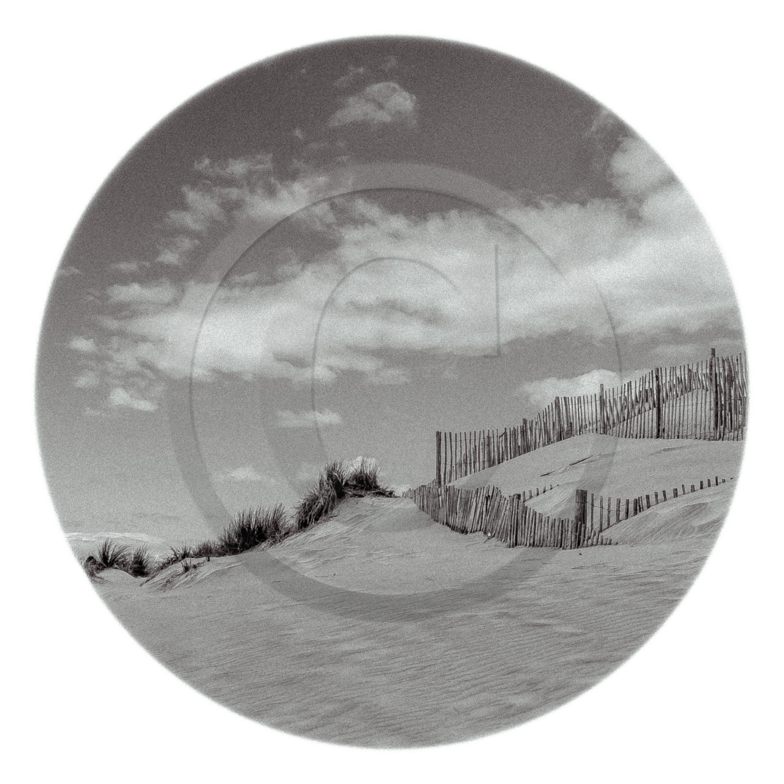 Les instants Camargue